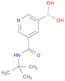 5-(tert-Butylcarbamoyl)pyridine-3-boronic acid