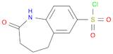 2-OXO-2,3,4,5-TETRAHYDRO-1H-1-BENZAZEPINE-7-SULFONYL CHLORIDE