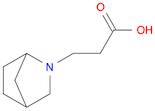 3-(2-Azabicyclo[2.2.1]heptan-2-yl)propanoic acid