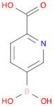 5-Boronopicolinic acid