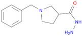 1-Benzylpyrrolidine-3-carbohydrazide