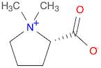 (S)-1,1-Dimethylpyrrolidin-1-ium-2-carboxylate