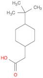 Cyclohexaneacetic acid,4-(1,1-dimethylethyl)-