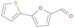 2-Furancarboxaldehyde,5-(2-thienyl)-