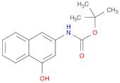 Carbamic acid, (4-hydroxy-2-naphthalenyl)-, 1,1-dimethylethyl ester