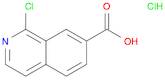1-Chloroisoquinoline-7-carboxylic acid hydrochloride