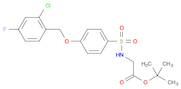 tert-butyl 2-(4-(2-chloro-4-fluorobenzyloxy)phenylsulfonaMido)acetate