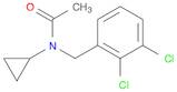 N-cyclopropyl-N-(2,3-dichlorobenzyl)acetamide