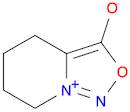 4,5,6,7-Tetrahydro-[1,2,3]oxadiazolo[3,4-a]pyridin-8-ium-3-olate
