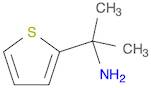 1-Methyl-1-thiophen-2-yl-ethylaMine