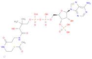 acetyl coenzyme a trilithium salt