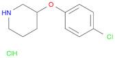 3-(4-CHLOROPHENOXY)PIPERIDINE