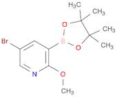 5-BROMO-2-METHOXY-3-(4,4,5,5-TETRAMETHYL-1,3,2-DIOXABOROLAN-2-YL)PYRIDINE