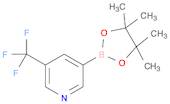 5-Trifluoromethylpyridine-3-boronic acid pinacol ester