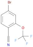 2-(Trifluoromethoxy)-4-bromobenzonitrile