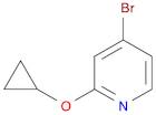 4-broMo-2-cyclopropoxypyridine