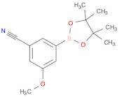 3-Cyano-5-methoxyphenylboronic acid,pinacol ester