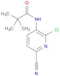N-(2-Chloro-6-cyanopyridin-3-yl)pivalamide