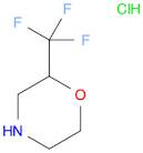2-Trifluoromethyl-morpholine hydrochloride