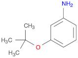 3-tert-Butoxy-phenylamine