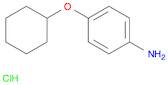 4-CYCLOHEXYLOXY-PHENYLAMINE HYDROCHLORIDE