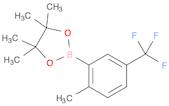 2-Methyl-5-trifluoroMethylphenylboronic acid, pinacol ester