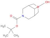 tert-Butyl 9-hydroxy-3-oxa-7-azabicyclo[3.3.1]nonane-7-carboxylate