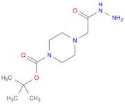 tert-Butyl 4-(2-hydrazinyl-2-oxoethyl)piperazine-1-carboxylate