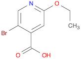 5-bromo-2-ethoxyisonicotinic acid
