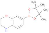 2H-1,4-Benzoxazine, 3,4-dihydro-7-(4,4,5,5-tetraMethyl-1,3,2-dioxaborolan-2-yl)-