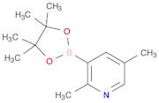2,5-Dimethyl-3-(4,4,5,5-tetramethyl-1,3,2-dioxaborolan-2-yl)pyridine