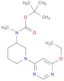 [1-(6-Ethoxy-pyriMidin-4-yl)-piperidin-3-yl]-Methyl-carbaMic acid tert-butyl ester