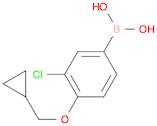 3-Chloro-4-(cyclopropylMethoxy)phenylboronic acid