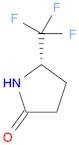 (5S)-5-(trifluoroMethyl)-2-Pyrrolidinone