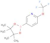 6-TrifluoroMethoxypyridine-3-boronic acid pinacol ester
