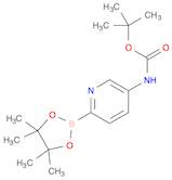 Boc-5-AMinopyridine-2-boronic acid pinacol ester