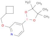 2-(cyclobutylmethoxy)-4-(4,4,5,5-tetramethyl-1,3,2-dioxaborolan-2-yl)pyridine