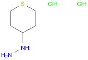 1-(tetrahydro-2H-thiopyran-4-yl)hydrazine dihydrochloride
