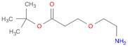 Amino-PEG1-t-Butyl ester