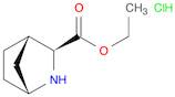 (1R,3S,4S)-Ethyl 2-azabicyclo[2.2.1]heptane-3-carboxylate hydrochloride