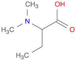 Butanoic acid, 2-(dimethylamino)- (9CI)
