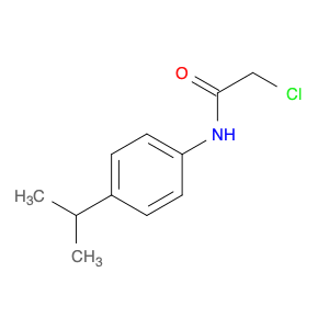 N1-(4-ISOPROPYLPHENYL)-2-CHLOROACETAMIDE