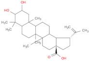 2α,3β-Dihydroxylup-20(29)-en-28-oic acid