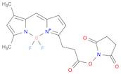 EverFluor FL, SE [4,4-Difluoro-5,7-DiMethyl-4-Bora-3a,4a-Diaza-s-Indacene-3-Propionic Acid, SucciniMidyl Ester ] [Known as BODIPY[R] FL, SE, TM of MP]