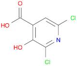 2,6-DICHLORO-3-HYDROXYPYRIDINE-4-CARBOXYLIC ACID