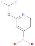 2-(difluoroMethoxy)pyridin-4-ylboronic acid