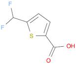 5-(difluoromethyl)thiophene-2-carboxylic acid