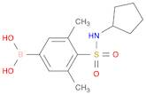 (4-(N-cyclopentylsulfaMoyl)-3,5-diMethylphenyl)boronic acid