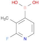 2-fluoro-3-Methylpyridin-4-ylboronic acid
