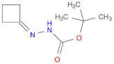 Hydrazinecarboxylic acid, cyclobutylidene-, 1,1-dimethylethyl ester (9CI)